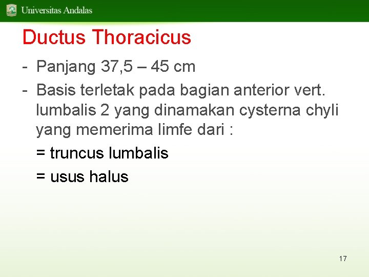 Ductus Thoracicus - Panjang 37, 5 – 45 cm - Basis terletak pada bagian