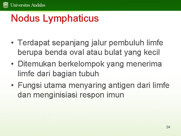 Nodus Lymphaticus • Terdapat sepanjang jalur pembuluh limfe berupa benda oval atau bulat yang