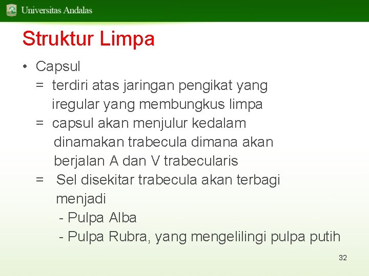 Struktur Limpa • Capsul = terdiri atas jaringan pengikat yang iregular yang membungkus limpa