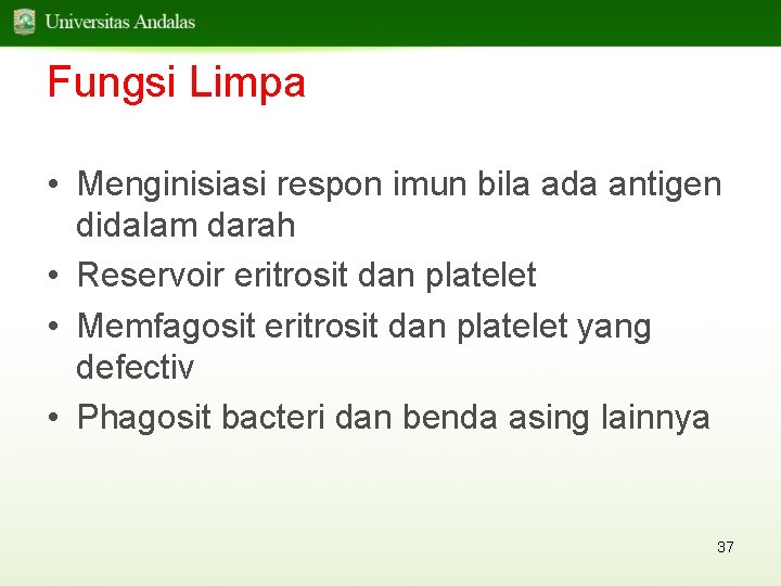 Fungsi Limpa • Menginisiasi respon imun bila ada antigen didalam darah • Reservoir eritrosit