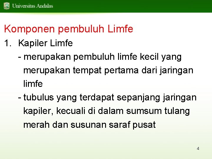 Komponen pembuluh Limfe 1. Kapiler Limfe - merupakan pembuluh limfe kecil yang merupakan tempat