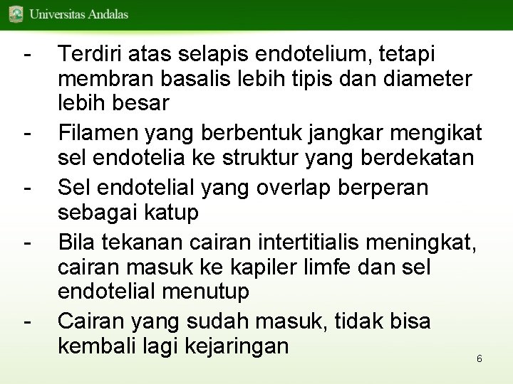 - Terdiri atas selapis endotelium, tetapi membran basalis lebih tipis dan diameter lebih besar