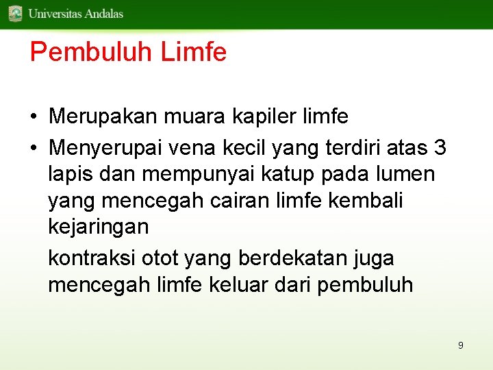 Pembuluh Limfe • Merupakan muara kapiler limfe • Menyerupai vena kecil yang terdiri atas