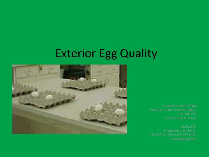 Exterior Egg Quality Created by Connie Page Emanuel County Extension Agent P. O. Box