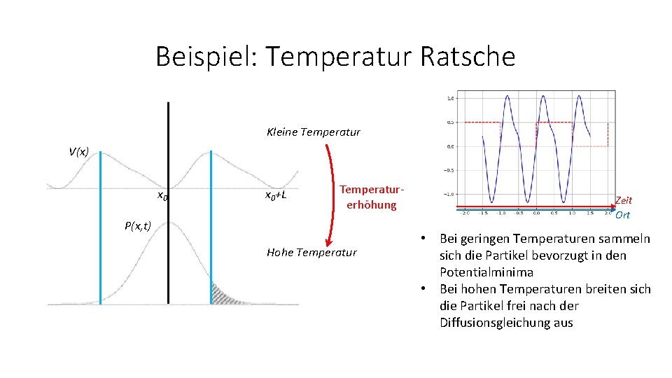Beispiel: Temperatur Ratsche Kleine Temperatur V(x) x 0+L Temperaturerhöhung P(x, t) Hohe Temperatur Zeit