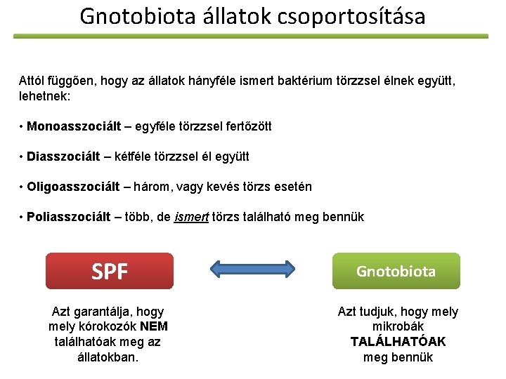 Gnotobiota állatok csoportosítása Attól függően, hogy az állatok hányféle ismert baktérium törzzsel élnek együtt,