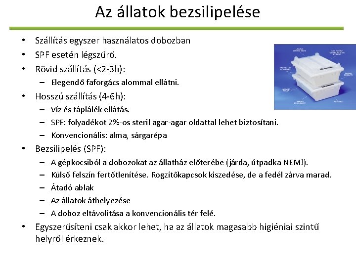 Az állatok bezsilipelése • Szállítás egyszer használatos dobozban • SPF esetén légszűrő. • Rövid