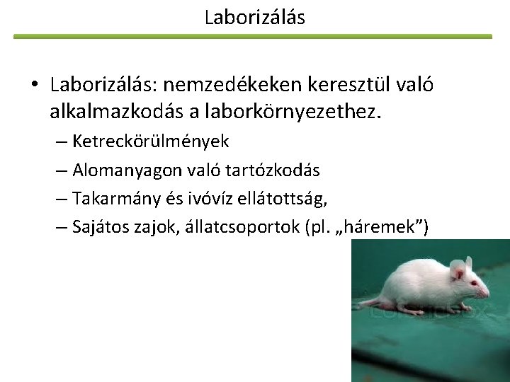 Laborizálás • Laborizálás: nemzedékeken keresztül való alkalmazkodás a laborkörnyezethez. – Ketreckörülmények – Alomanyagon való