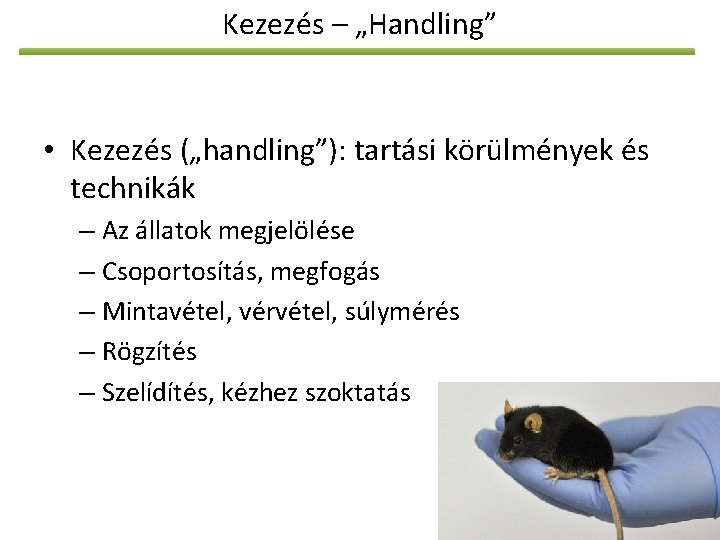 Kezezés – „Handling” • Kezezés („handling”): tartási körülmények és technikák – Az állatok megjelölése