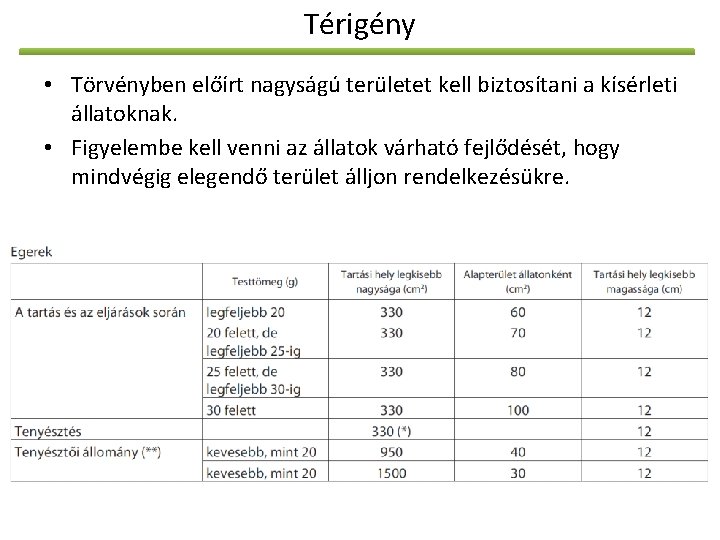 Térigény • Törvényben előírt nagyságú területet kell biztosítani a kísérleti állatoknak. • Figyelembe kell