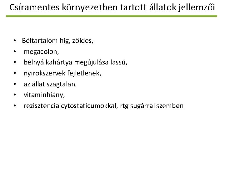 Csíramentes környezetben tartott állatok jellemzői • • Béltartalom híg, zöldes, megacolon, bélnyálkahártya megújulása lassú,