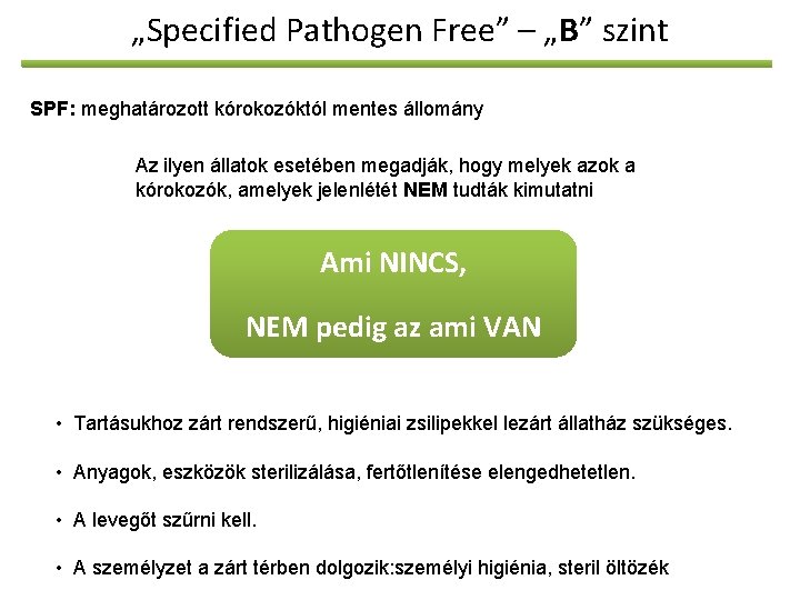 „Specified Pathogen Free” – „B” szint SPF: meghatározott kórokozóktól mentes állomány Az ilyen állatok