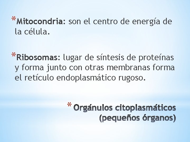 *Mitocondria: son el centro de energía de la célula. *Ribosomas: lugar de síntesis de