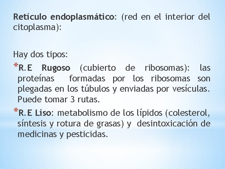 Retículo endoplasmático: (red en el interior del citoplasma): Hay dos tipos: *R. E Rugoso