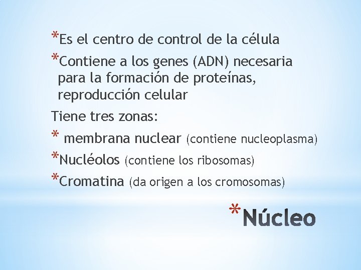 *Es el centro de control de la célula *Contiene a los genes (ADN) necesaria