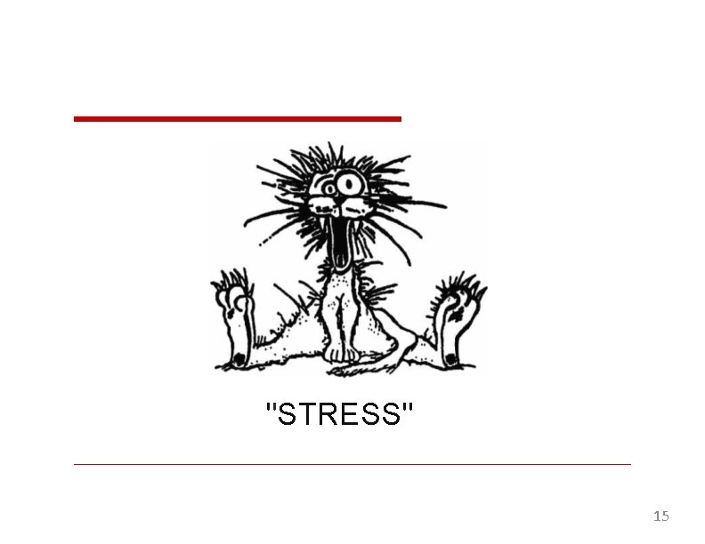 ''STRESS'' 15 
