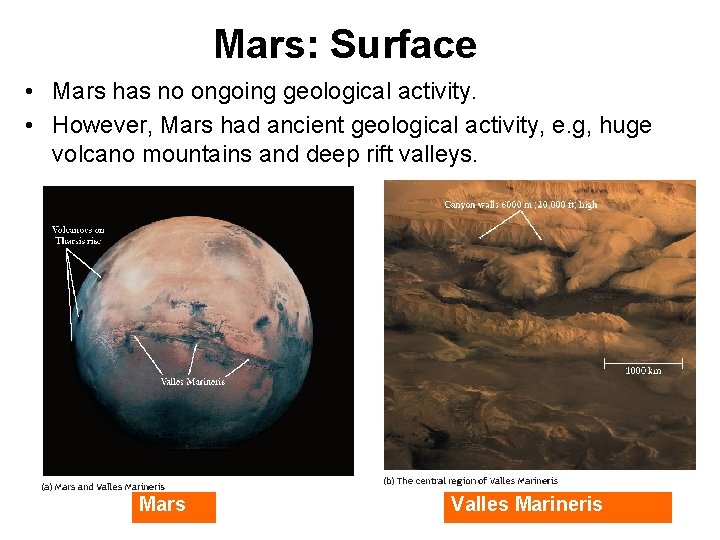 Mars: Surface • Mars has no ongoing geological activity. • However, Mars had ancient