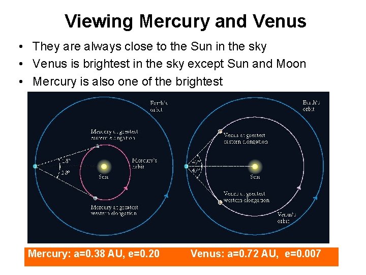 Viewing Mercury and Venus • They are always close to the Sun in the