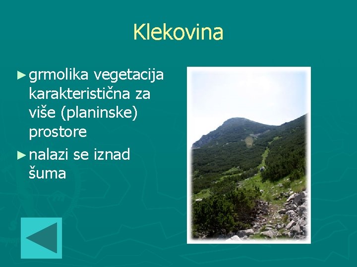 Klekovina ► grmolika vegetacija karakteristična za više (planinske) prostore ► nalazi se iznad šuma