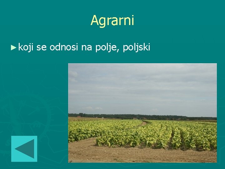 Agrarni ► koji se odnosi na polje, poljski 