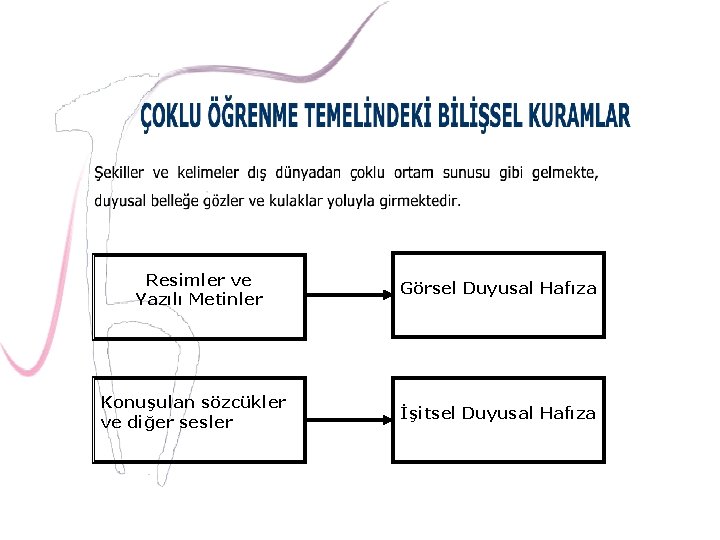 Resimler ve Yazılı Metinler Konuşulan sözcükler ve diğer sesler Görsel Duyusal Hafıza İşitsel Duyusal