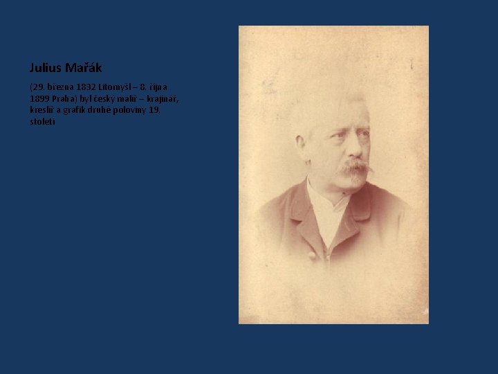 Julius Mařák (29. března 1832 Litomyšl – 8. října 1899 Praha) byl český malíř