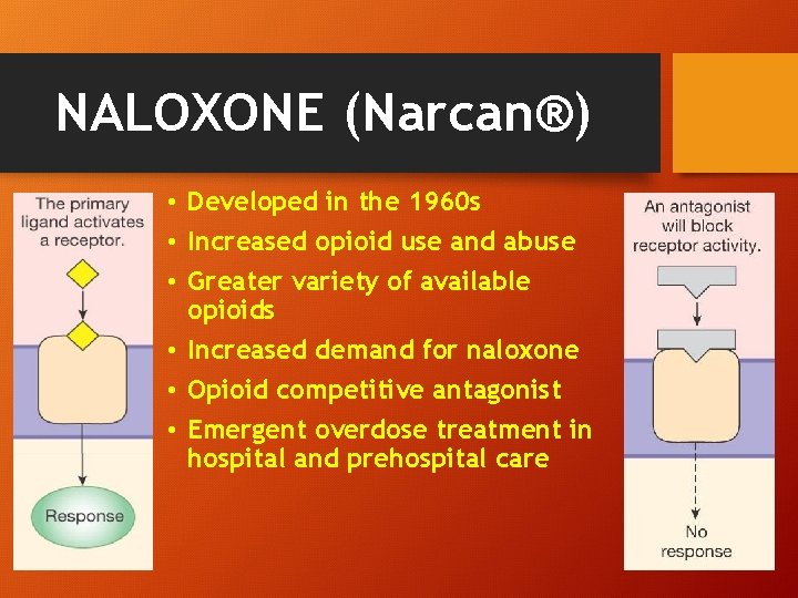 NALOXONE (Narcan®) • Developed in the 1960 s • Increased opioid use and abuse