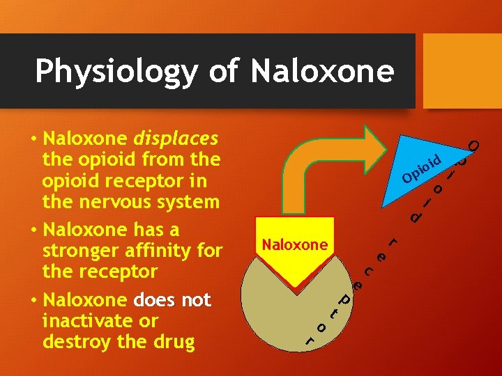 Physiology of Naloxone • Naloxone displaces the opioid from the opioid receptor in the