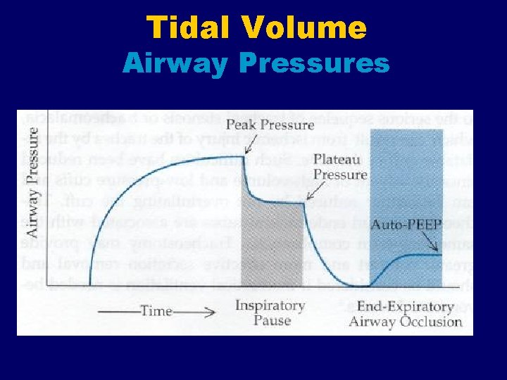 Tidal Volume Airway Pressures 