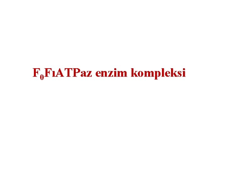 F 0 FıATPaz enzim kompleksi 