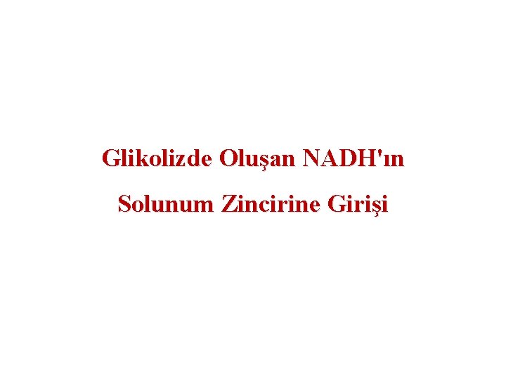 Glikolizde Oluşan NADH'ın Solunum Zincirine Girişi 
