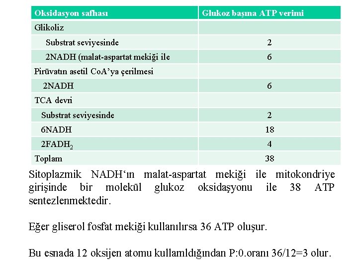 Oksidasyon safhası Glukoz başına ATP verimi Glikoliz Substrat seviyesinde 2 2 NADH (malat-aspartat mekiği