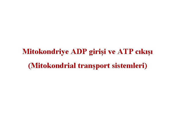 Mitokondriye ADP girişi ve ATP cıkışı (Mitokondrial tranşport sistemleri) 