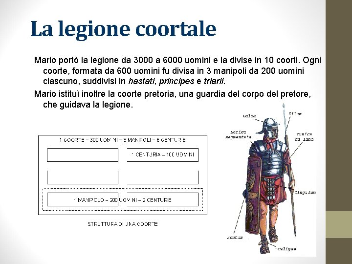 La legione coortale Mario portò la legione da 3000 a 6000 uomini e la