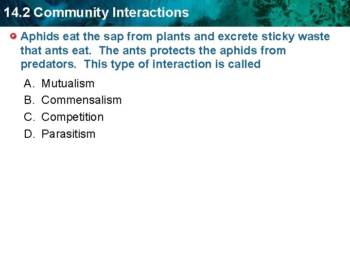 14. 2 Community Interactions Aphids eat the sap from plants and excrete sticky waste