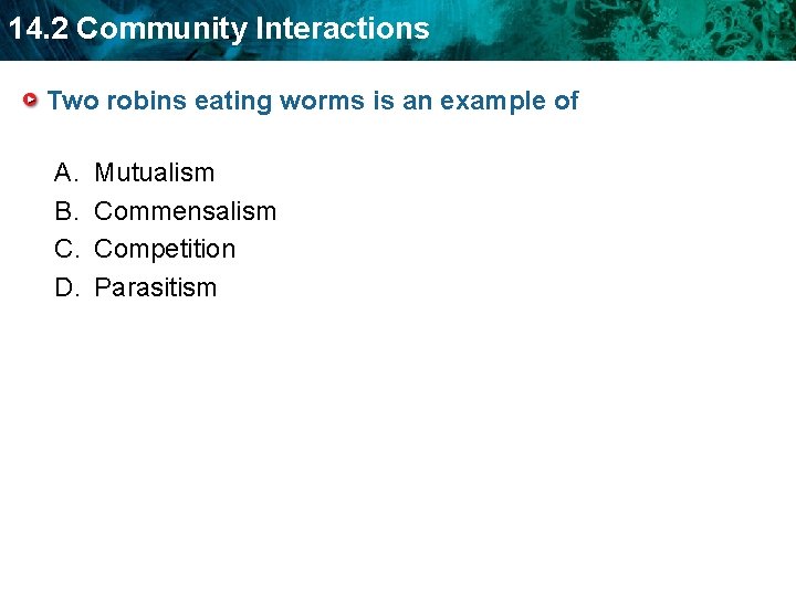 14. 2 Community Interactions Two robins eating worms is an example of A. B.