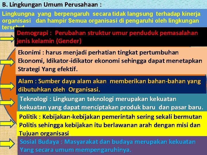 B. Lingkungan Umum Perusahaan : Lingkungna yang berpengaruh secara tidak langsung terhadap kinerja organisasi