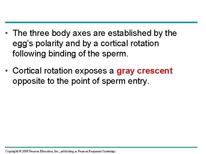  • The three body axes are established by the egg’s polarity and by