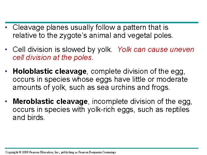  • Cleavage planes usually follow a pattern that is relative to the zygote’s