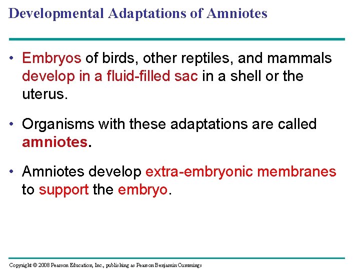 Developmental Adaptations of Amniotes • Embryos of birds, other reptiles, and mammals develop in