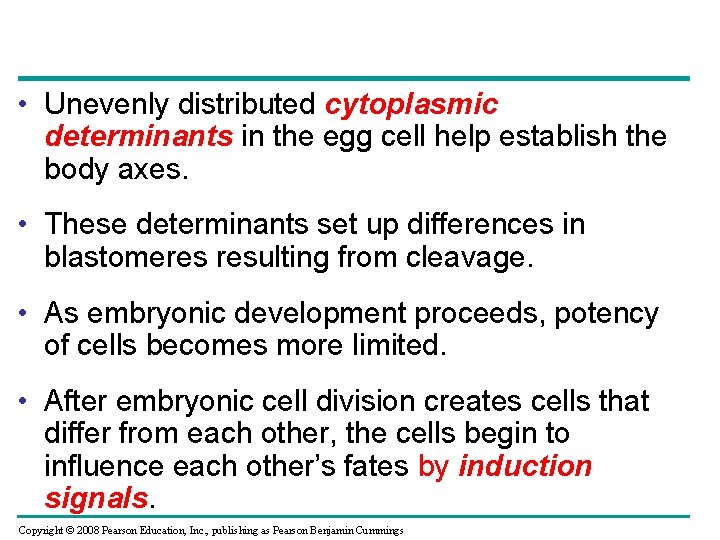  • Unevenly distributed cytoplasmic determinants in the egg cell help establish the body