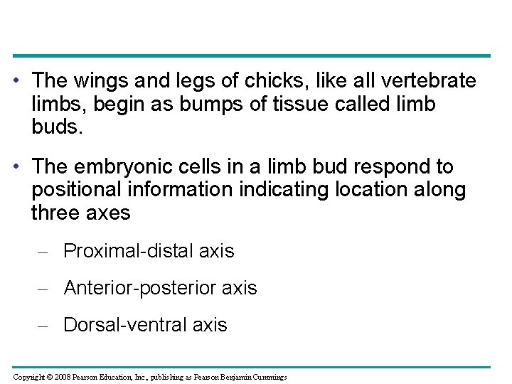  • The wings and legs of chicks, like all vertebrate limbs, begin as