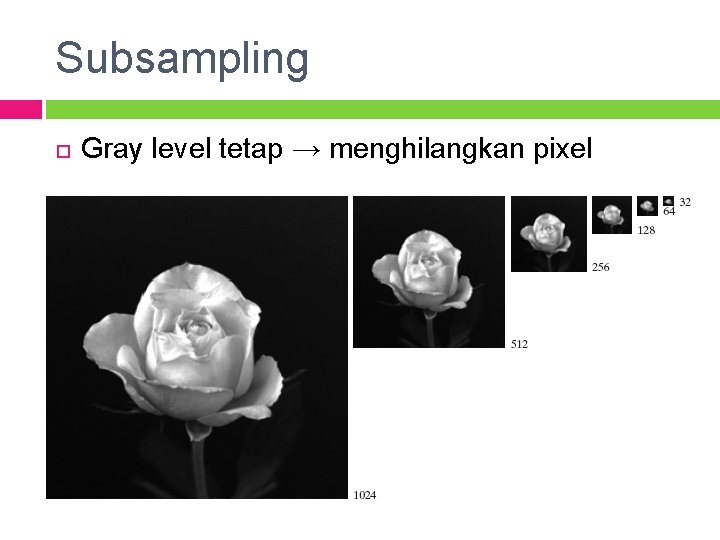 Subsampling Gray level tetap → menghilangkan pixel 