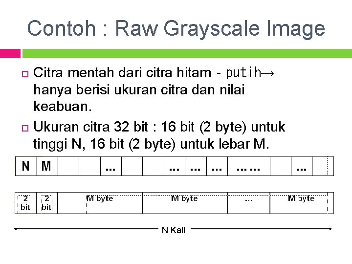 Contoh : Raw Grayscale Image Citra mentah dari citra hitam‐putih→ hanya berisi ukuran citra