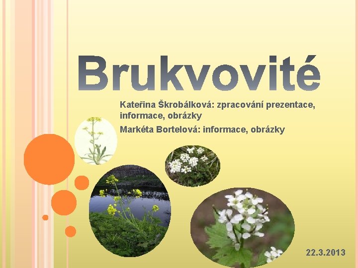 Kateřina Škrobálková: zpracování prezentace, informace, obrázky Markéta Bortelová: informace, obrázky 22. 3. 2013 