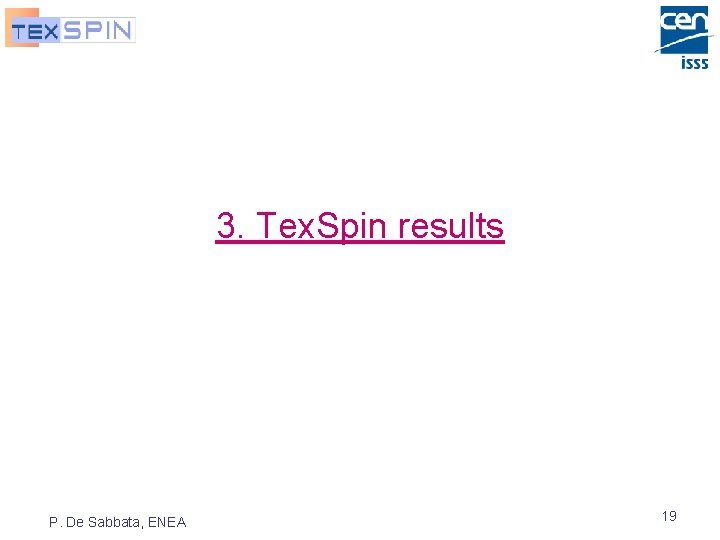 3. Tex. Spin results P. De Sabbata, ENEA 19 