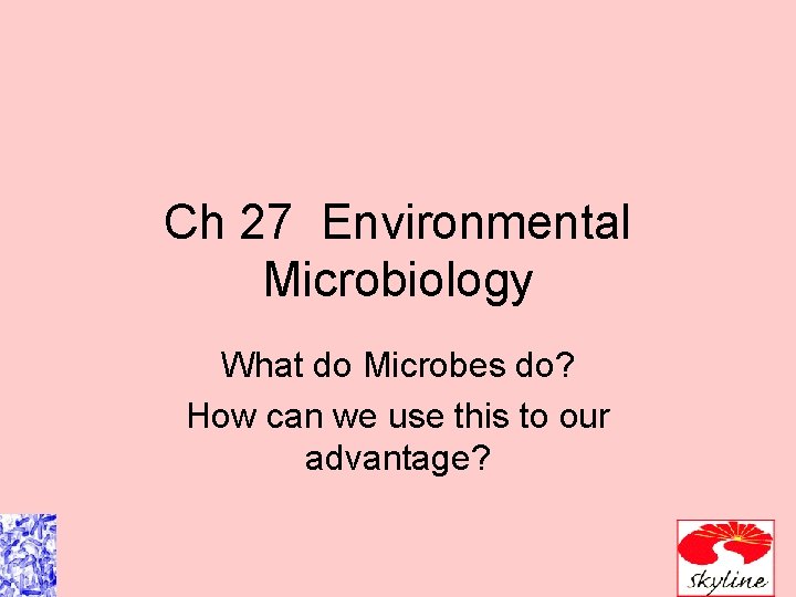 Ch 27 Environmental Microbiology What do Microbes do? How can we use this to