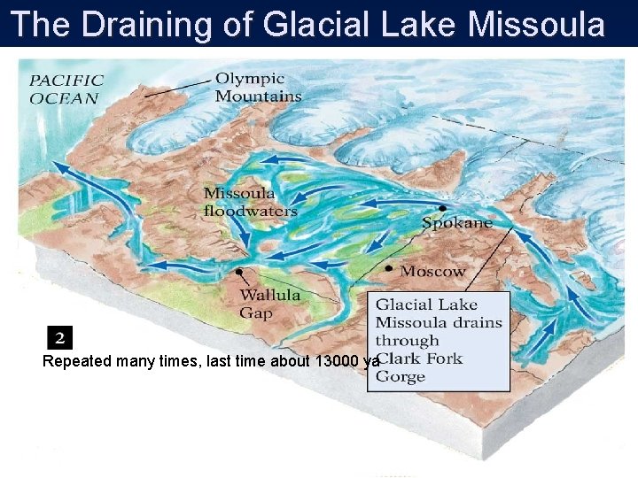 The Draining of Glacial Lake Missoula Repeated many times, last time about 13000 ya