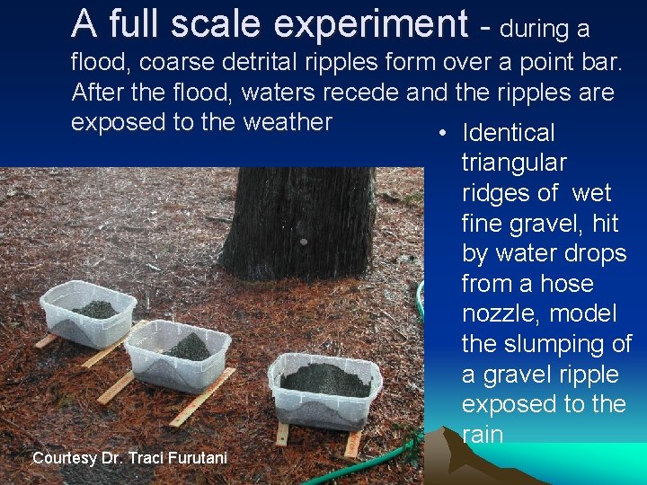 A full scale experiment - during a flood, coarse detrital ripples form over a