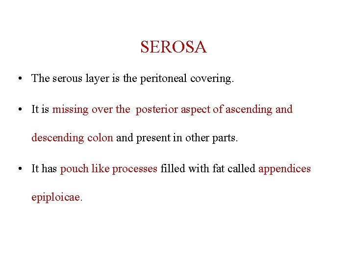 SEROSA • The serous layer is the peritoneal covering. • It is missing over